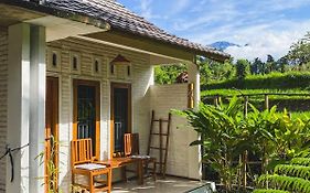 Sarang Walet Homestay